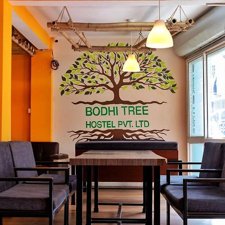 Bodhi Tree Hostel 카트만두 외부 사진