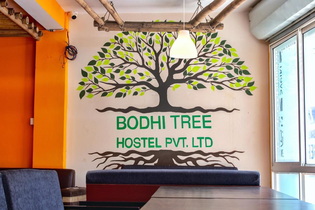 Bodhi Tree Hostel 카트만두 외부 사진