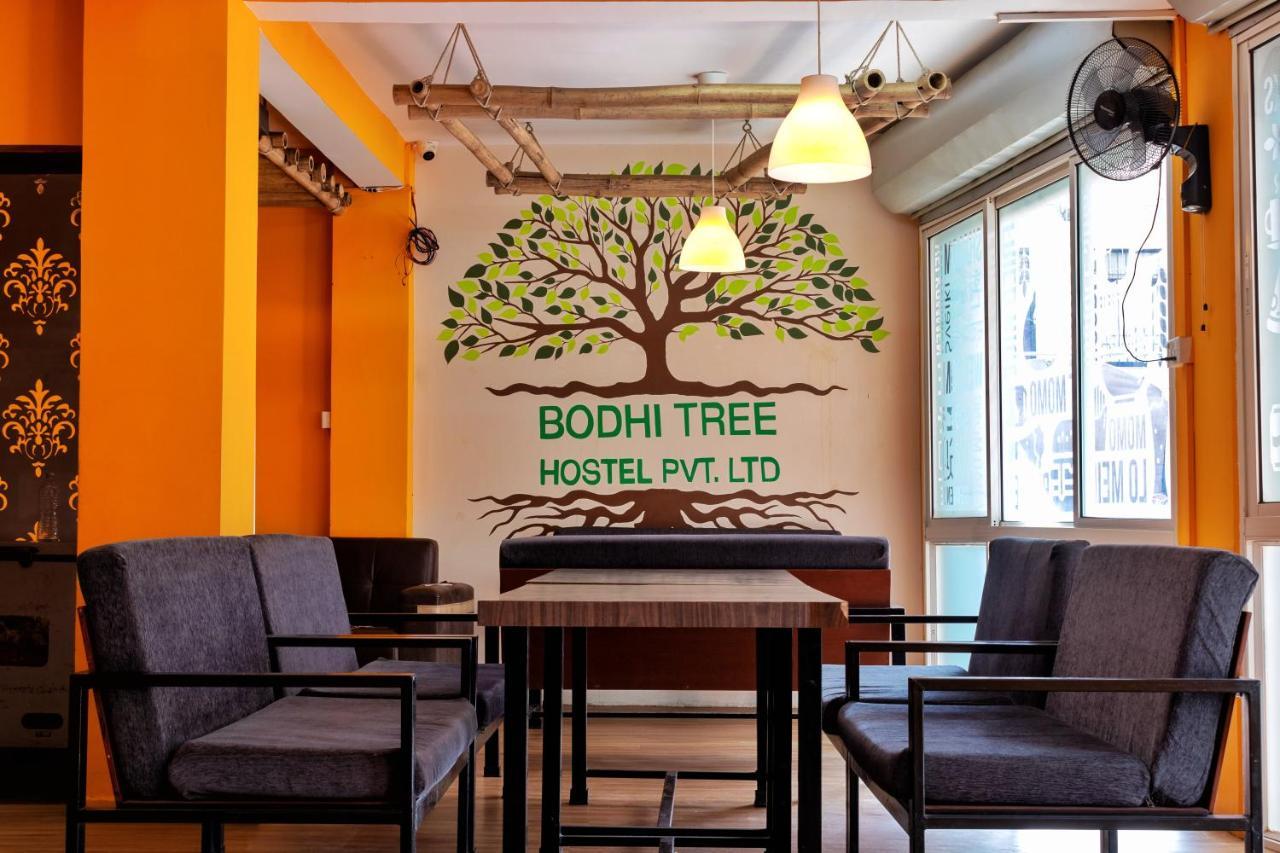 Bodhi Tree Hostel 카트만두 외부 사진